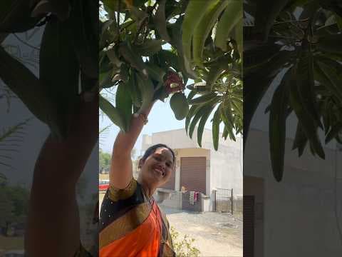 Recent post by Maa inti harivillu