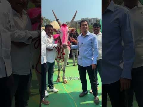 Recent post by Krish Mahadik