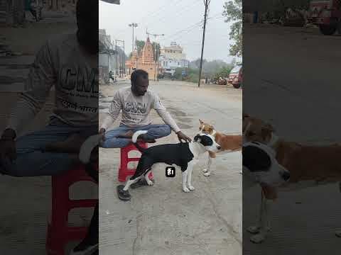 Recent post by Chintamani Jaipuri