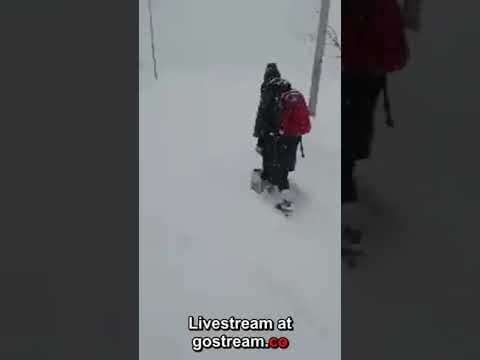 Recent post by Kashmir Profile