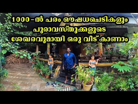 Recent post by Aliyanz Vlog