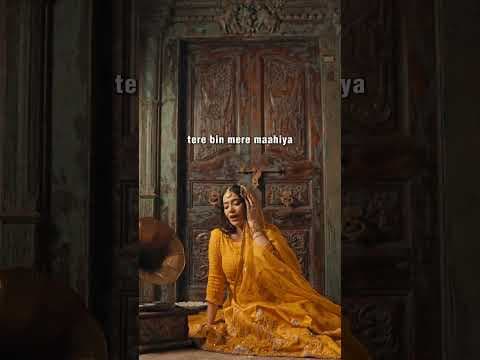 Recent post by Mitika Kanwar