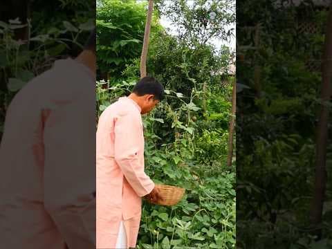 Recent post by LALA Ji Ka Dhaba