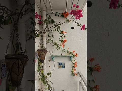 Recent post by Urban Scape Bangalore