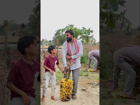 Recent post by Vijay Kumar Viner Vlogs