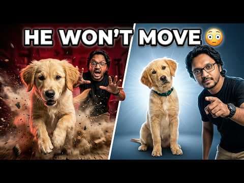Recent post by PetGuru Academy