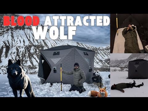 Recent post by DCV Expeditions