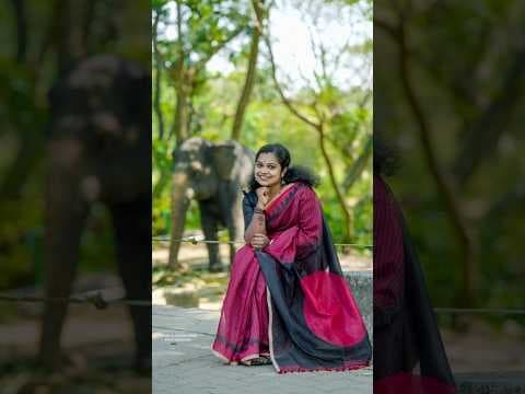 Recent post by Manu Kadakkodam Photography