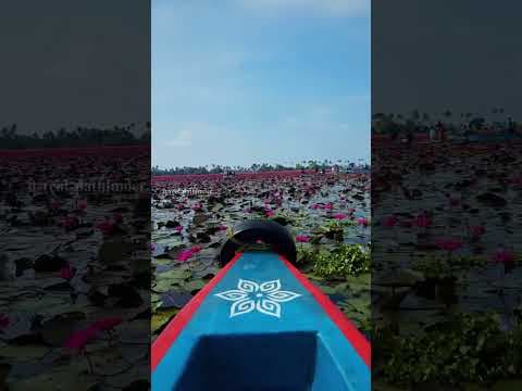Recent post by Aliyanz Vlog