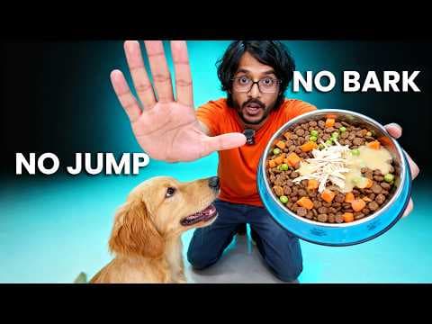 Recent post by PetGuru Academy