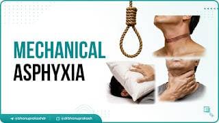 https://i.ytimg.com/vi/IaJ8KYAloyo/hqdefault.jpg