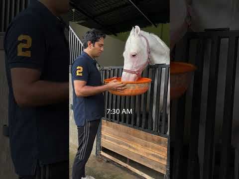 Recent post by Krish Mahadik