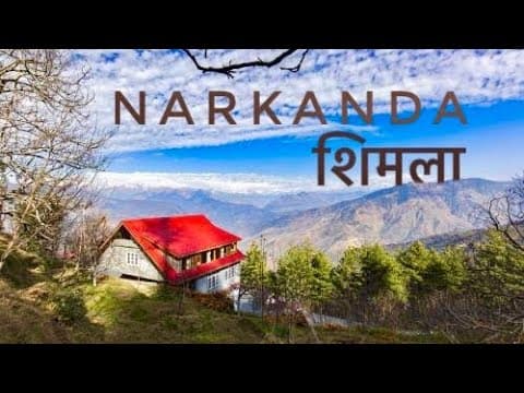 Recent post by Walking Wanderer