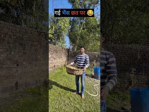 Recent post by Comedy Wale Babu