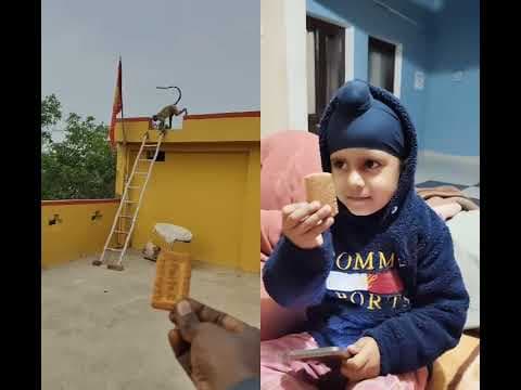 Recent post by Kudratbir kaur