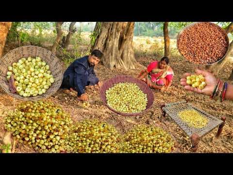 Recent post by LALA Ji Ka Dhaba