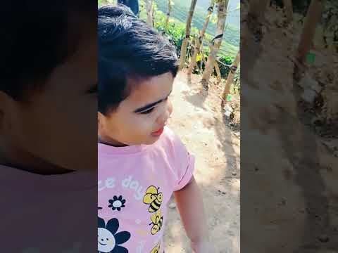 Recent post by MY TRAVELS MY CLICKS