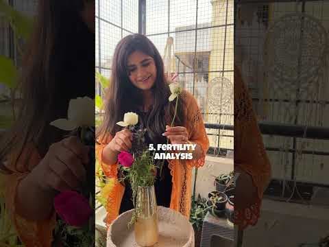 Recent post by Piyusha Tanwani