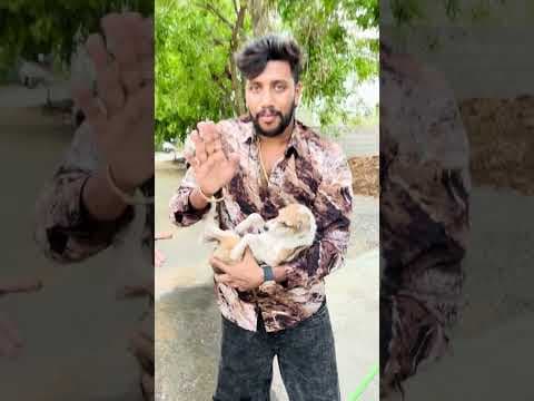 Recent post by Dachhudivu