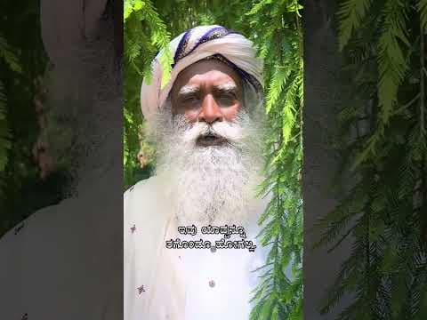 Recent post by Sadhguru Kannada