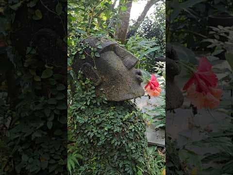 Recent post by Urban Scape Bangalore