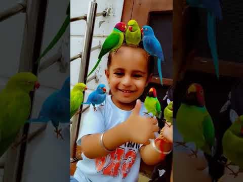 Recent post by Kudratbir kaur