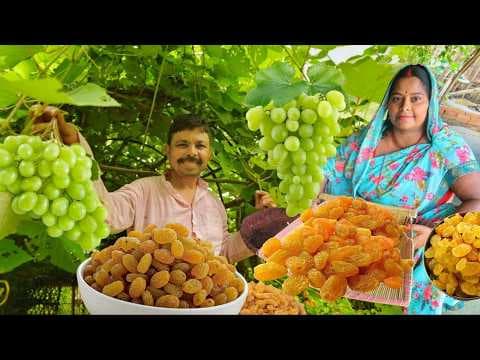 Recent post by LALA Ji Ka Dhaba