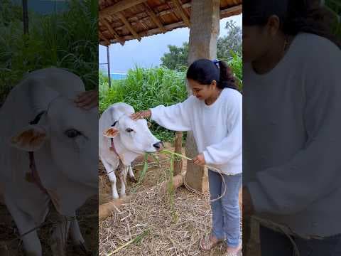 Recent post by KK Creative Vlogs