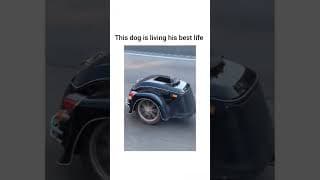 https://i.ytimg.com/vi/YlY5J86unEg/hqdefault.jpg
