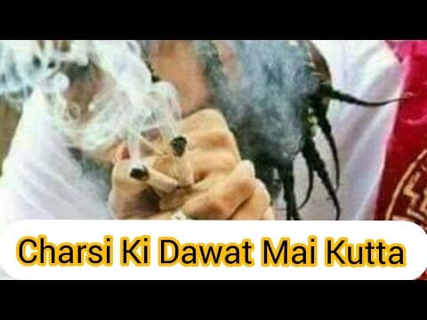Recent post by Kashmir Profile