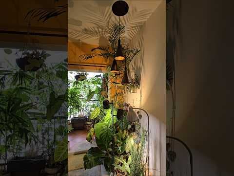Recent post by Urban Scape Bangalore