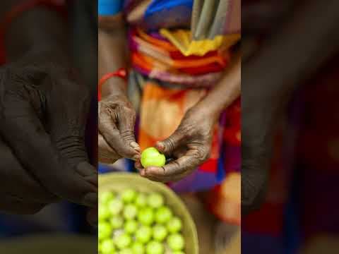 Recent post by Village food factory