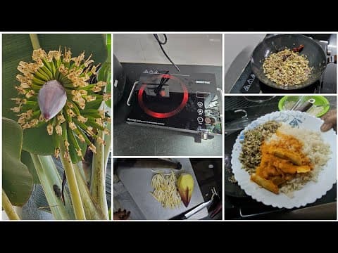 Recent post by Chinnis Garden & Kitchen Beary VLOG