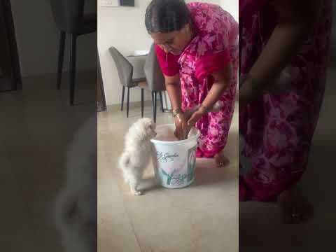 Recent post by Ayu and Anu - Twin Sisters