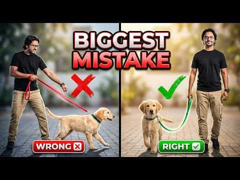 Recent post by PetGuru Academy