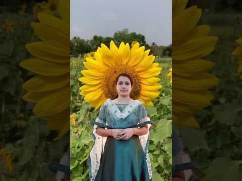 Recent post by Youten Craft