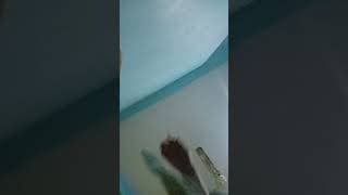 https://i.ytimg.com/vi/moapmVHkZgg/hqdefault.jpg