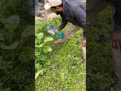 Recent post by Kheti Kisan