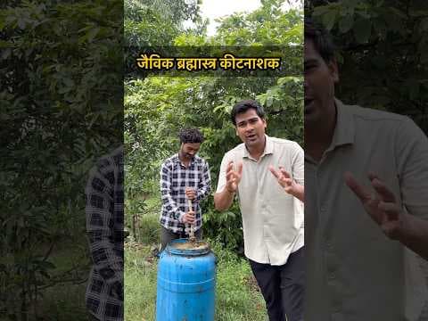 Recent post by Kheti Kisan