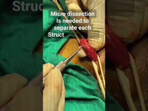 Recent post by Plastic SurgeonVlog