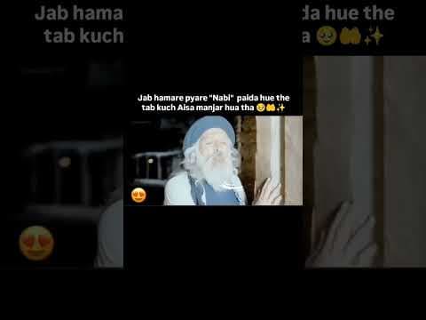 Recent post by Hiba