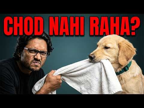 Recent post by PetGuru Academy