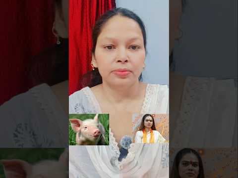 Recent post by Uzma Perveen