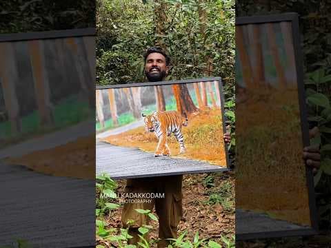 Recent post by Manu Kadakkodam Photography