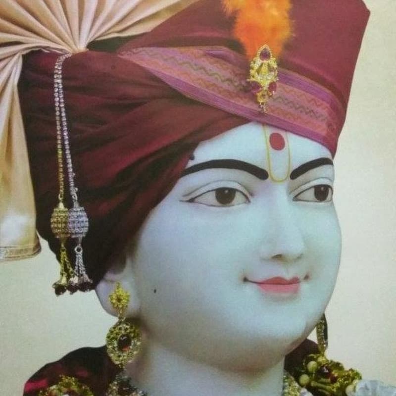 Shreeji food
