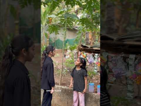 Recent post by Anshi's Vlogs