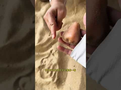 Recent post by Abhishek Vlogs 07