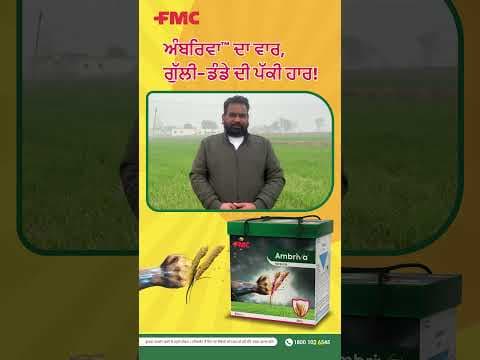 Recent post by FMC India