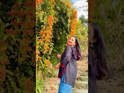 Recent post by Bidipta Sharma