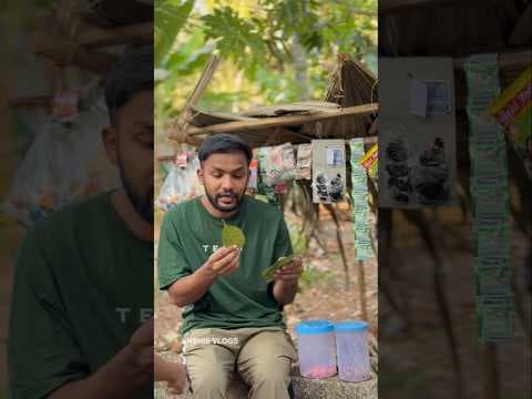 Recent post by Anshi's Vlogs